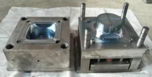 Plastic Injection Mould