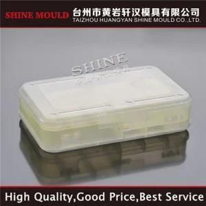 China Shine Plastic Injection Mould Transparent Food Box