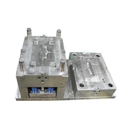 Injection Mould and Moulding Manufacturer in Guangdong China Plastic Mold for Light Guide