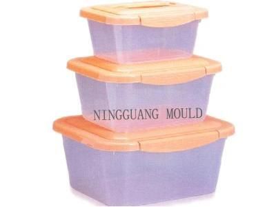 Food Container Box Mould (NGS-8102) in Taizhou China