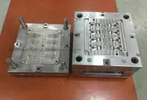 Fiber Glass Plastic Injection Mould for Household Appliances