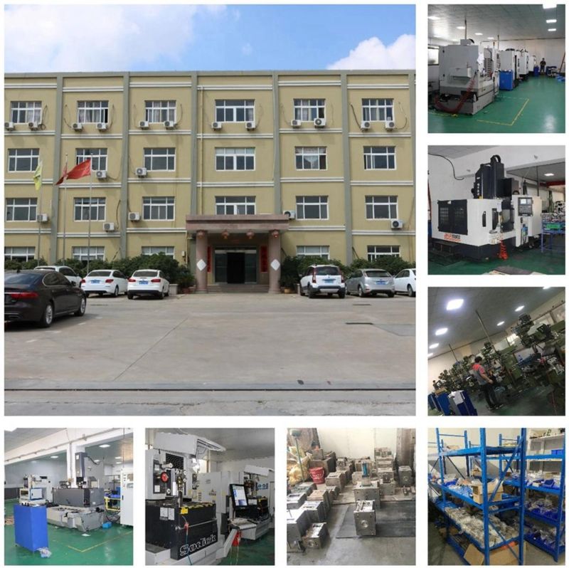 Custom Short Term Molding Plastic Injection Mould for Auto/Bluetooth/Headphone