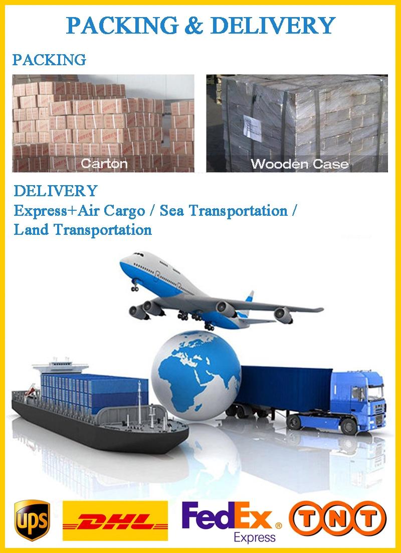 Factory Specializes in Manufacturing High Precision Die Plastic Mould Mold