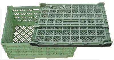 Plastic Mould for Collapsible Crate