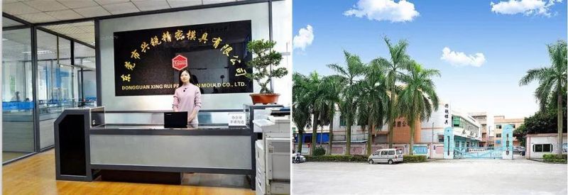 Customized Design Jigs and Fixture Tooling for Precision Mould From Xinrui Factory