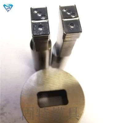 Tdp Series Tablet Press Punch and Die