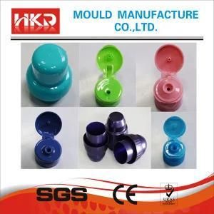 Flip Cap Mould