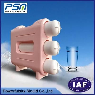 Customized Plastic Water Filter Injection Mould