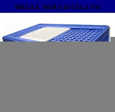 Plastic Box Bird Carrier Mould