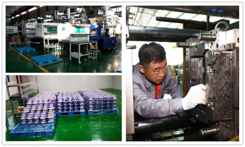 China Electronic Components Case Plastic Mold Mould