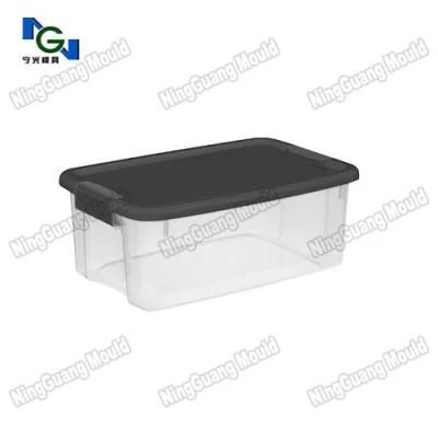 China Food Container Mould