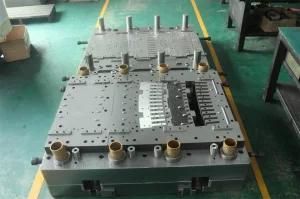 Progressive Stamping Mould for Motor Stamping Sheet