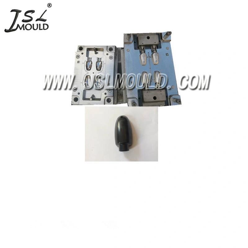 Quality Mold Factory Professional Making Injection Plastic Bike Indicator Mould