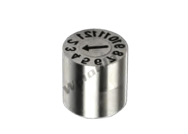 Hot Sale Date Stamp Injection Plastic Mold Parts Precision Mould Parts Customized Mould Parts