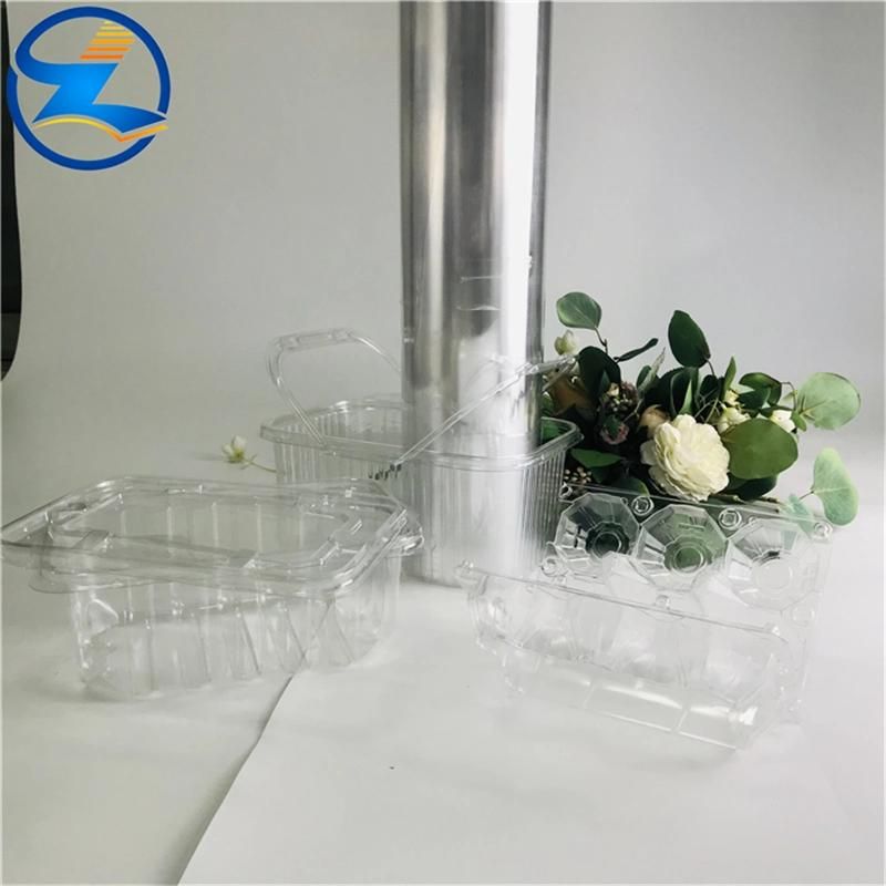 Pet Transparent Film Rolls Acrylic Sheets for Blister Molding