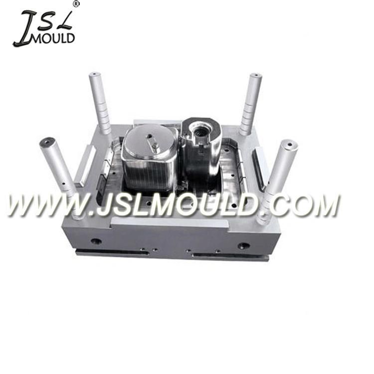 Plastic Injection Twin Tub Washing Machine Mould