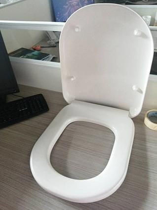 UF Toilet Seat Cover Mould