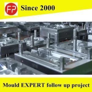 Plastic Injection Mould for Bird Feeder