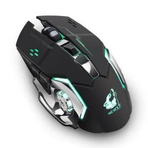 Hot Mouse Plastic Shell Injection Mold, Cheap Bulk Customization