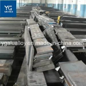 Mold Steel 1.2083 1.3343 1.3207 1.3243 1.3247 Flat Mould Steel