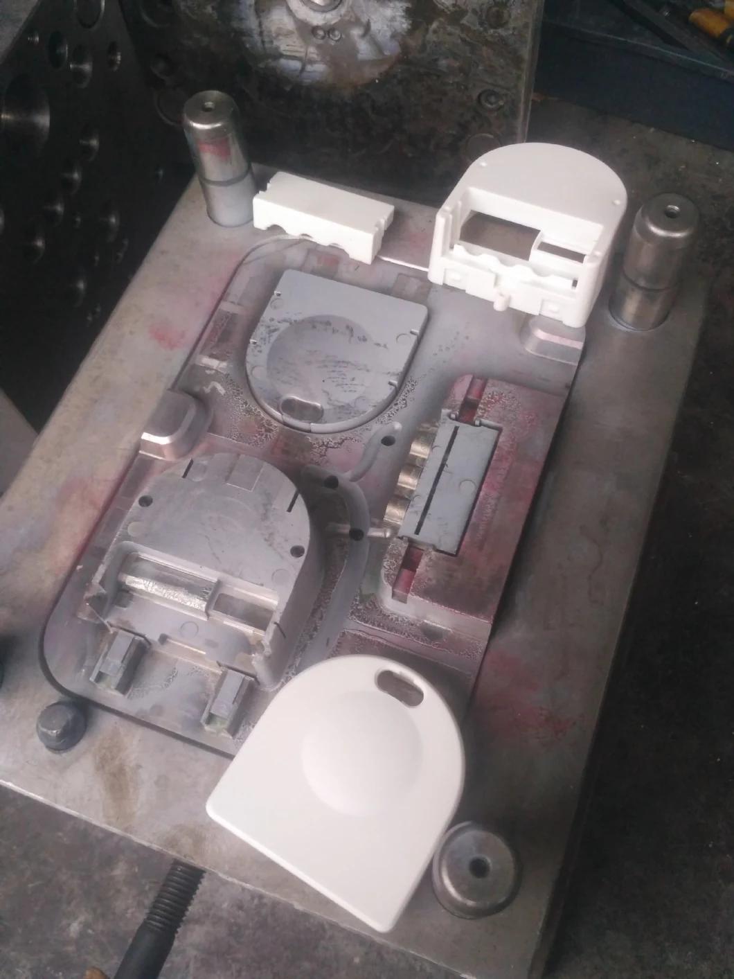Plastic Injection Mold for PP Automobile Rear Door Trim Panel
