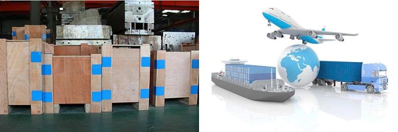 Plastic Blowing Mold for Pet Bottle Cans