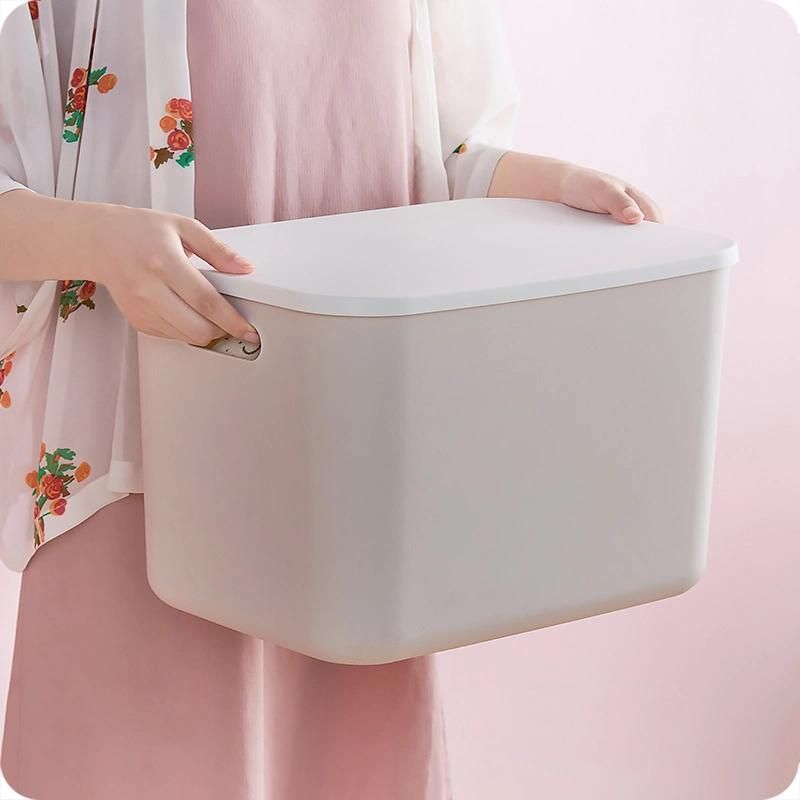 Storage Box Mold with Lid Plastic Injection Household Mould