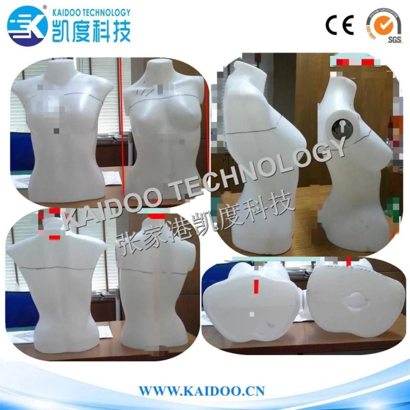 Plastic Model /Plastic Mannequin Blow Mould/Blow Mold