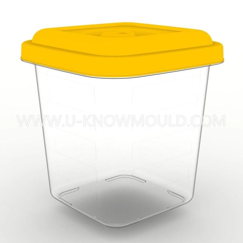 Plastic Rice Storage Container Mould/High Quality Plastic Injection Storage Mold