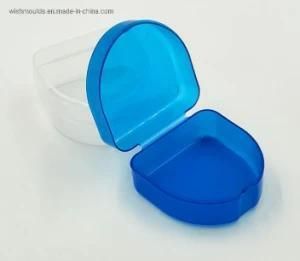 PP Plastic Box for False Tooth, High Quality Plastic Mould Manufacturer