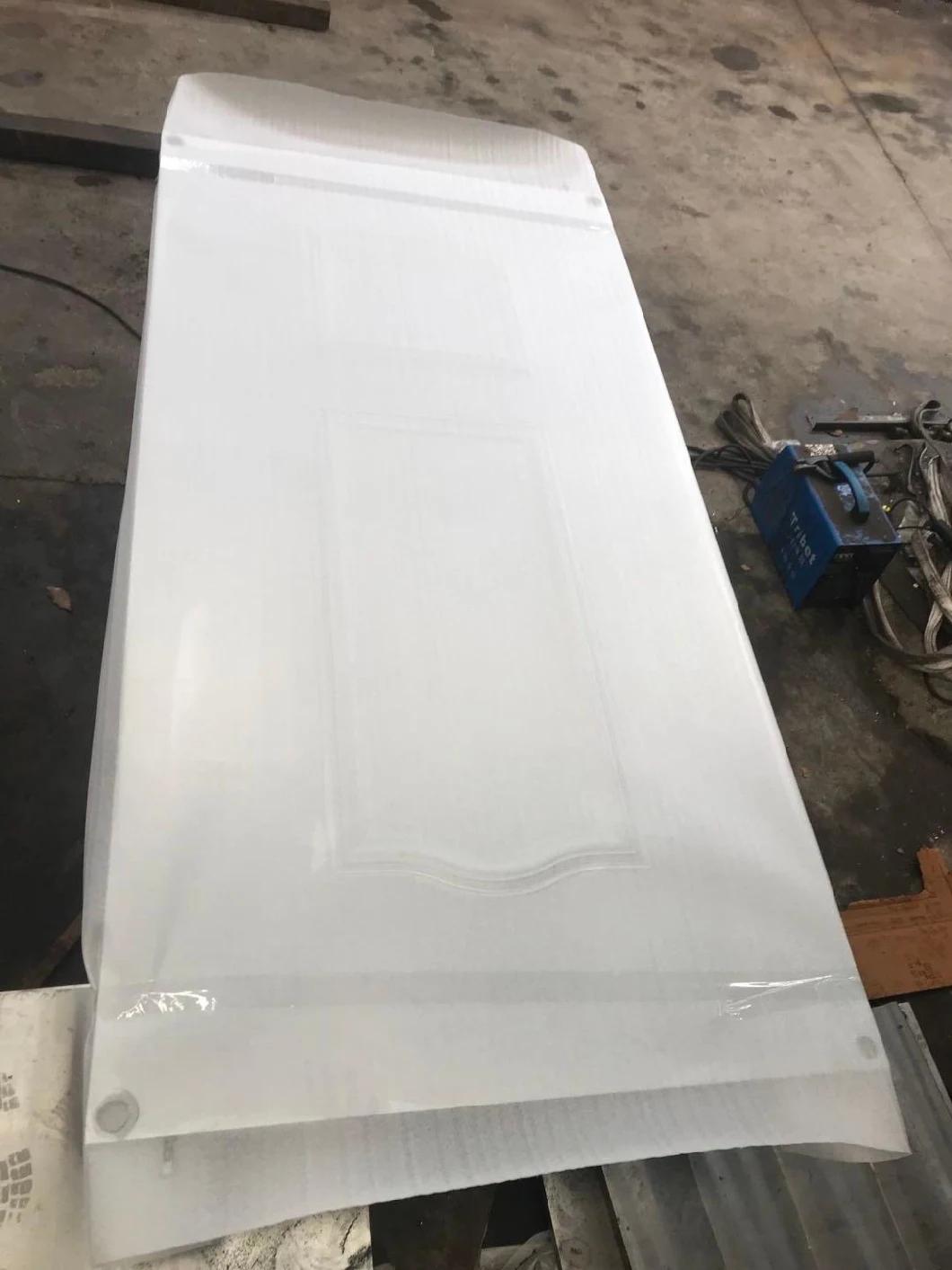 Steel Bathroom Door Skin Mould for MDF, Mel