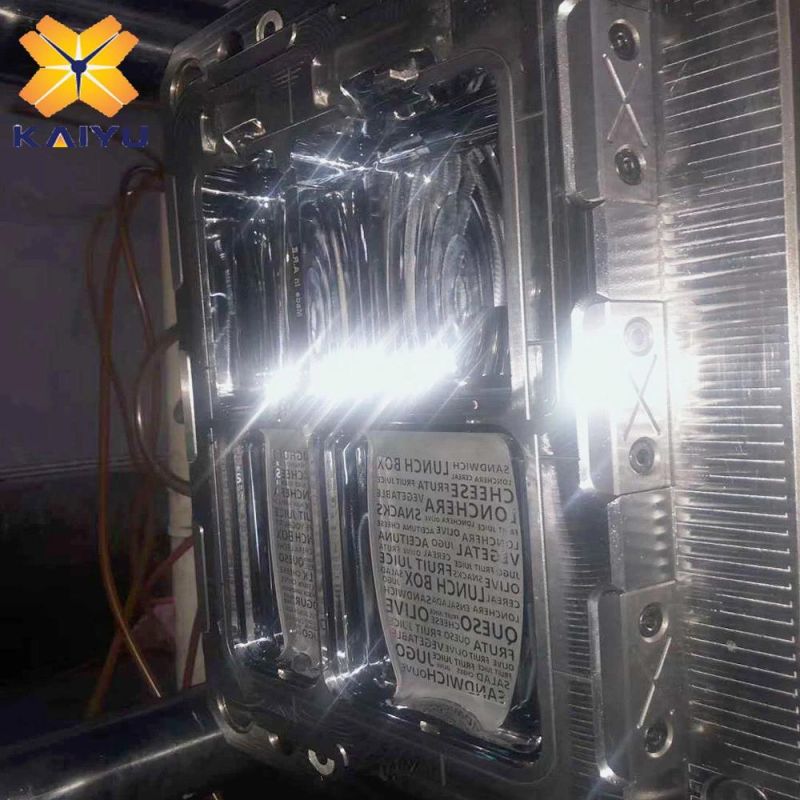 Double Cabin Plastic Box Mould Injection Molding Die for PP Packaging Container
