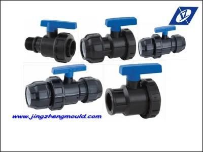 PP Plastic Injection Pipe Fitting Mold
