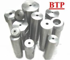 All Kinds of Cold Forging Hardware Punches (BTP-P172)