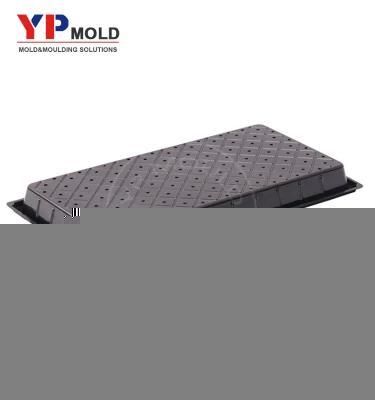Plastic Injection Mould for Plastic Seedling Pots Seed Tray Mold