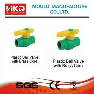 Plastic Injection Pipe Fitting Mold/Mould