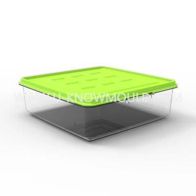 Plastic Packaging Box Injection Mould Food Container Mold