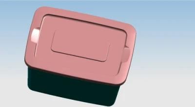 Storage Case Mould (NGS-8100) with High Quality