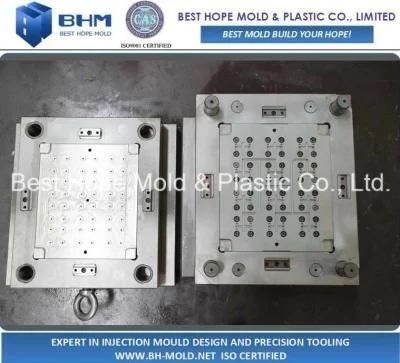 Europe Market Plastic Roller Injection Mould