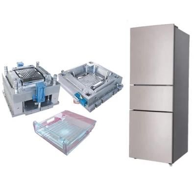Ruijp Mold Manufacture Plastic Injection Moulding Plastic Refrigerator Mould