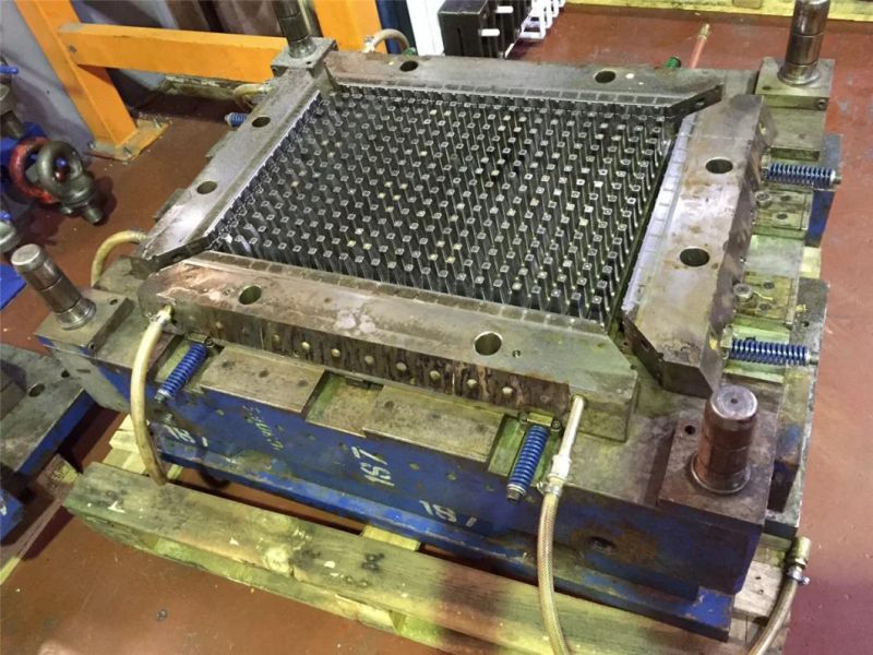 Plastic Injection Mold for PE Tray