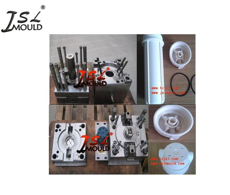 High Quality Experienced Plastic Water Filter RO Housing Mold