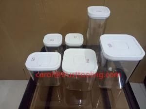 Plastic Container Mould