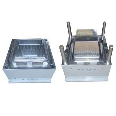 Guangdong Moulding Manufacturer Custom Injection Mould for Plastic Flower Pot