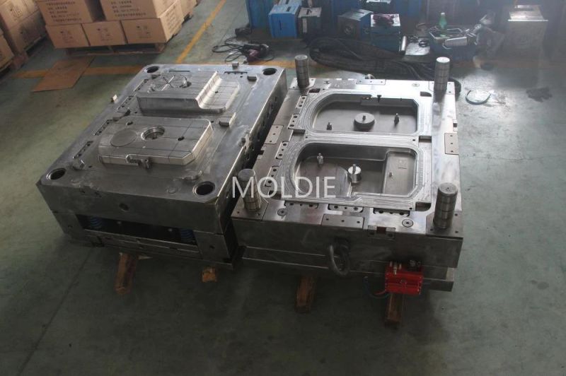 Customized/Designing Aluminium/Zinc Alloy Auto Parts Die Casting Mold