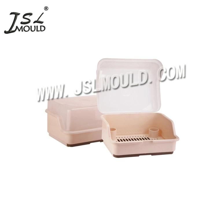 China High Quality Plastic Dish Drainer Mould