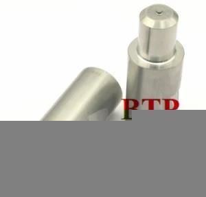 Tungsten&Alloy Screw Punch Mould (BTP-P185)