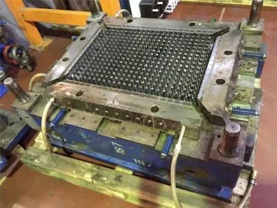 Plastic Injection Mold for PE Tray