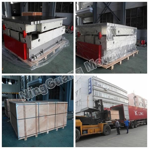 Compression Molded Product for Tray