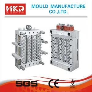 Hot Selling Plastic Injection Pet Preform Mold